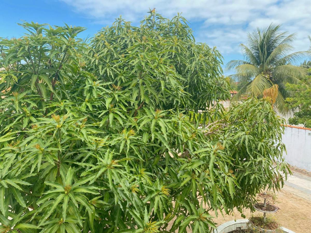 Sol, Mar e Privacidade Aracaju Exterior foto